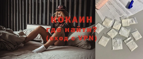 индика Алексеевка
