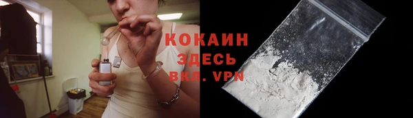 индика Алексеевка
