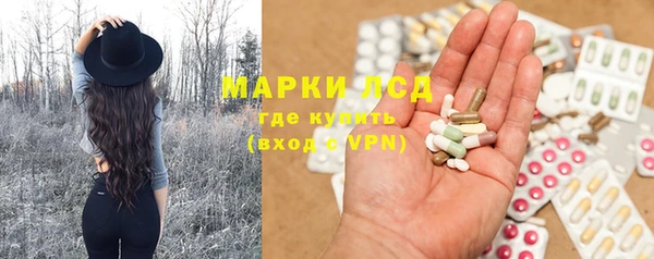 ПСИЛОЦИБИНОВЫЕ ГРИБЫ Алексин