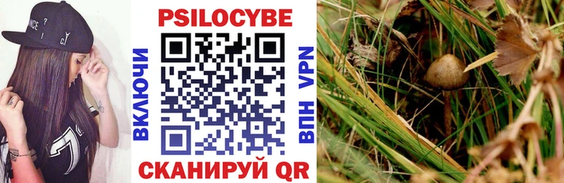 где купить наркоту  Луга  Псилоцибиновые грибы Psilocybine cubensis 