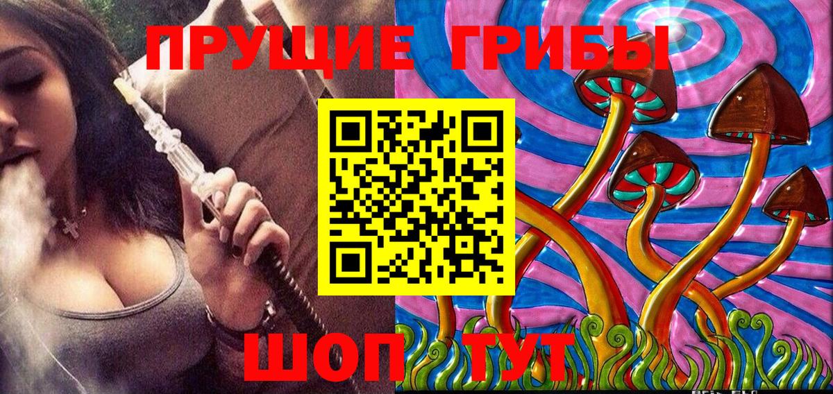 Псилоцибиновые грибы MAGIC MUSHROOMS Луга
