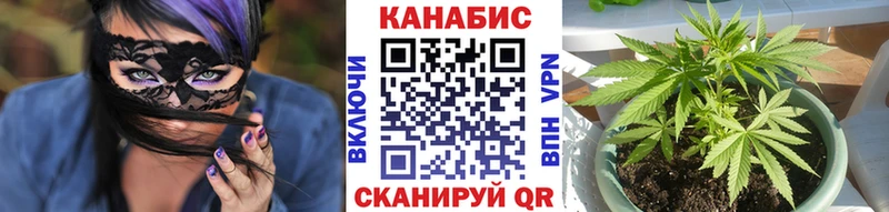 Каннабис Ganja  Луга 